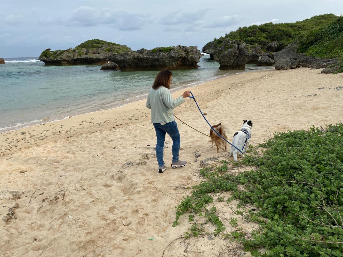 Ken'S Beachfront Cafe & Lodge, Bl2, Oceanfront And Free Canoe Rental 恩納村 エクステリア 写真
