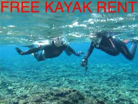 Ken'S Beachfront Cafe & Lodge, Bl2, Oceanfront And Free Canoe Rental 恩納村 エクステリア 写真